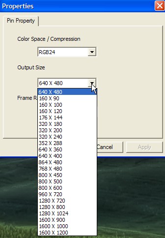 output size